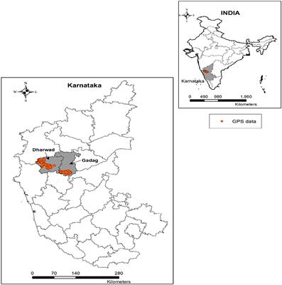 Stress-resilient maize hybrid adoption factors and impact: Evidence from rain-fed agroecologies of Karnataka state, India